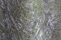 Oakley Wood fibreglass roof work